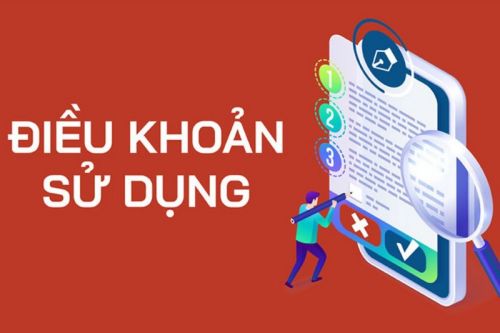 Điều khoản sử dụng website